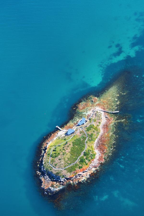 Hotel Picnic Island Coles Bay Exterior foto