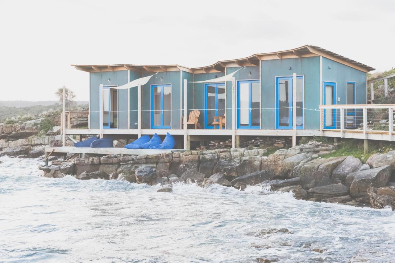 Hotel Picnic Island Coles Bay Exterior foto